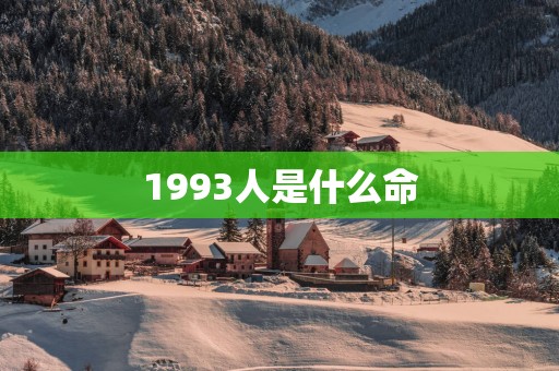 1993人是什么命