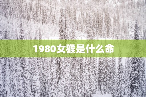 1980女猴是什么命