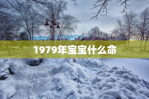 1979年宝宝什么命