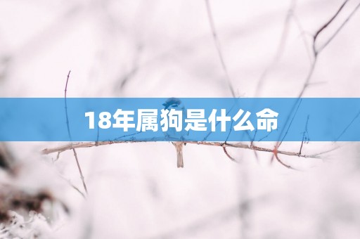 18年属狗是什么命