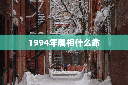 1994年属相什么命