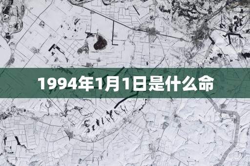 1994年1月1日是什么命