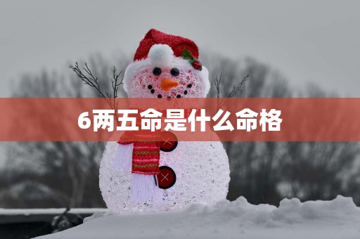 6两五命是什么命格