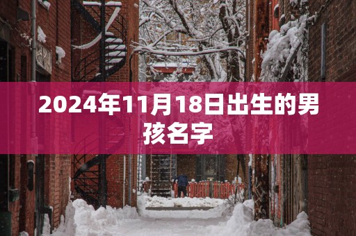 2025年11月18日出生的男孩名字