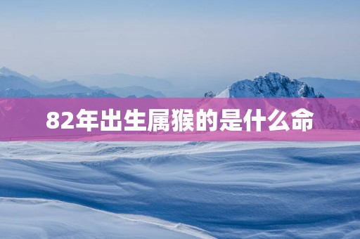 82年出生属猴的是什么命