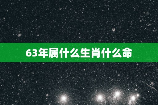 63年属什么生肖什么命
