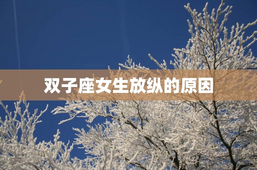 双子座女生放纵的原因