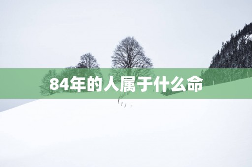 84年的人属于什么命