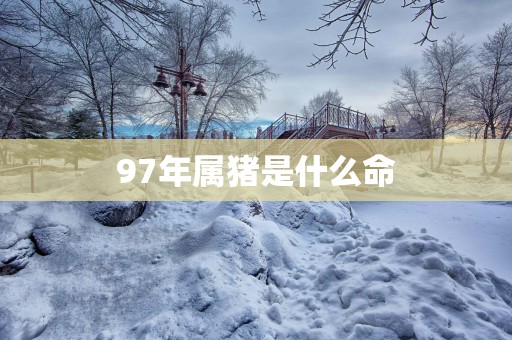 97年属猪是什么命