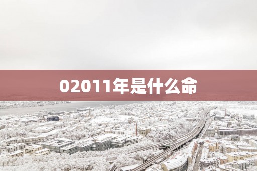 02011年是什么命