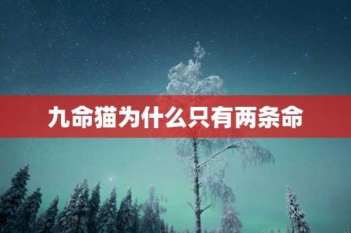 九命猫为什么只有两条命