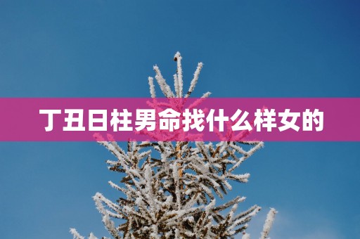 丁丑日柱男命找什么样女的