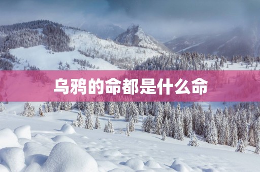 乌鸦的命都是什么命