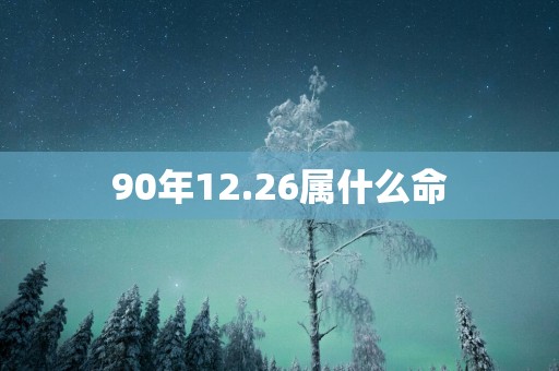 90年12.26属什么命