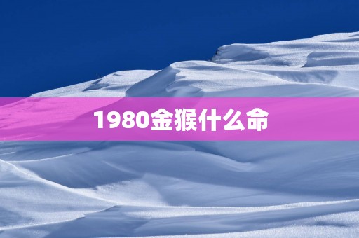 1980金猴什么命