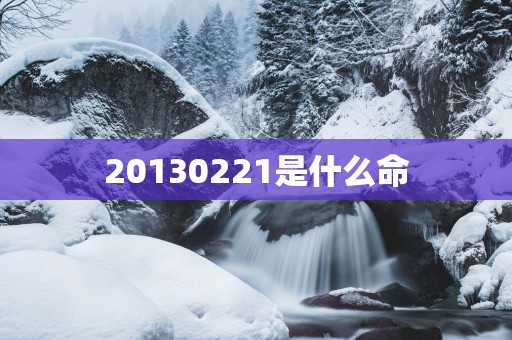 20130221是什么命