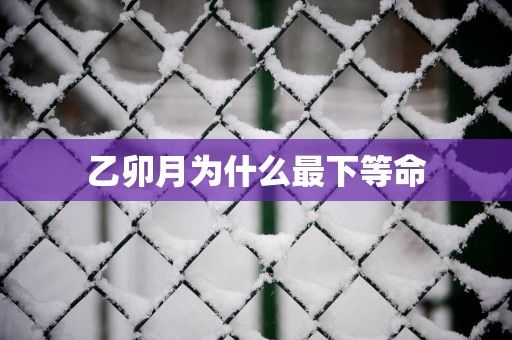 乙卯月为什么最下等命
