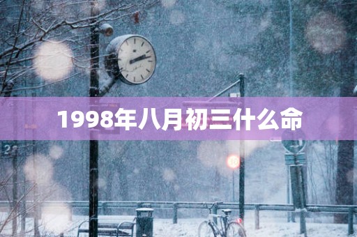 1998年八月初三什么命