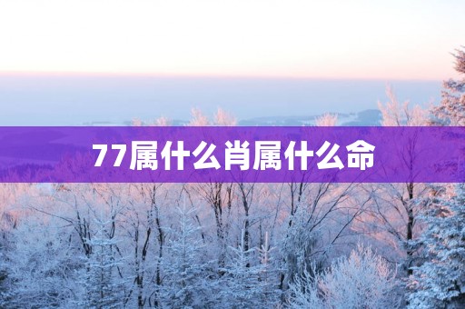 77属什么肖属什么命