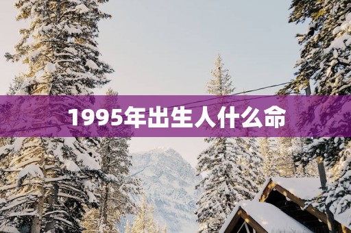 1995年出生人什么命