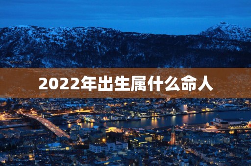 2025年出生属什么命人
