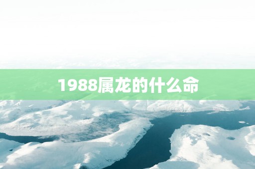 1988属龙的什么命