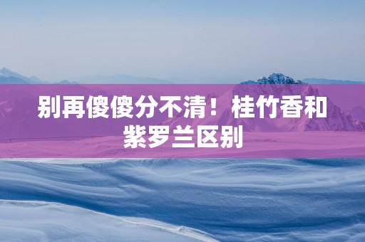 别再傻傻分不清！桂竹香和紫罗兰区别