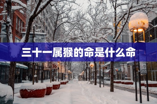 三十一属猴的命是什么命