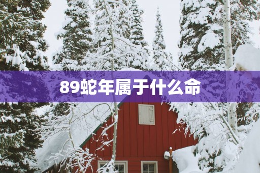 89蛇年属于什么命