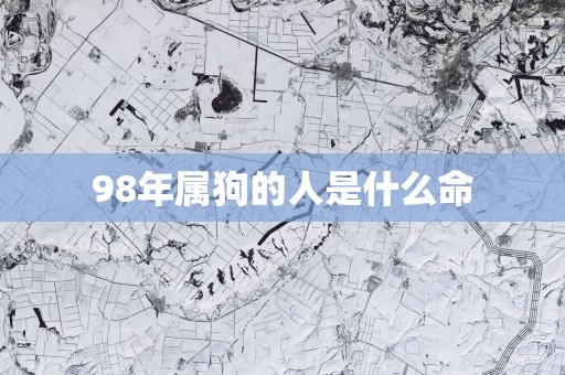 98年属狗的人是什么命