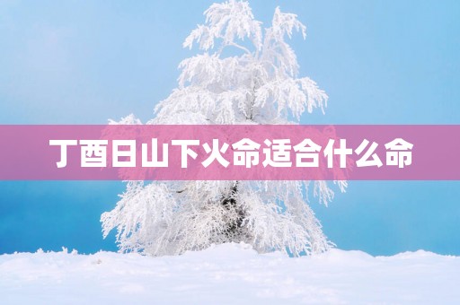 丁酉日山下火命适合什么命