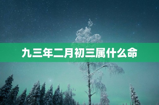 九三年二月初三属什么命