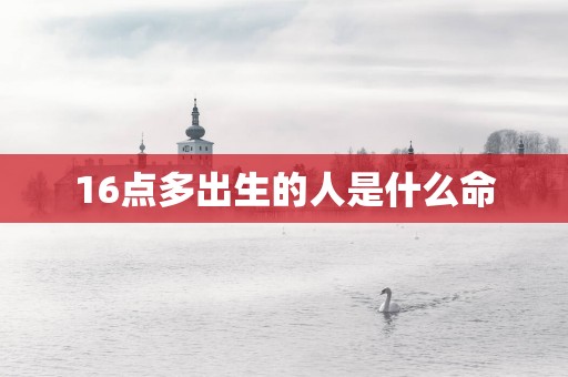 16点多出生的人是什么命