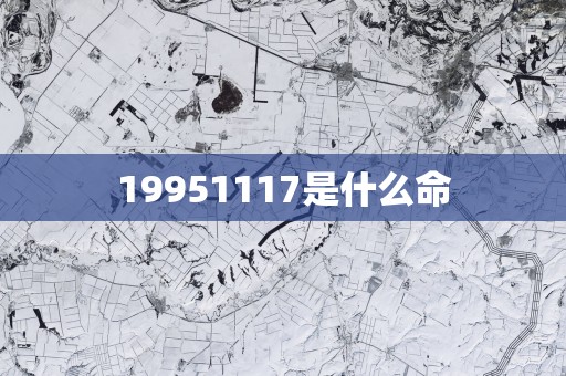 19951117是什么命