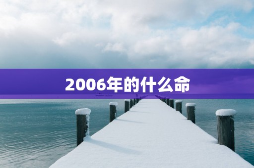 2006年的什么命
