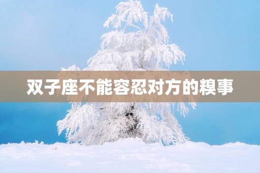双子座不能容忍对方的糗事