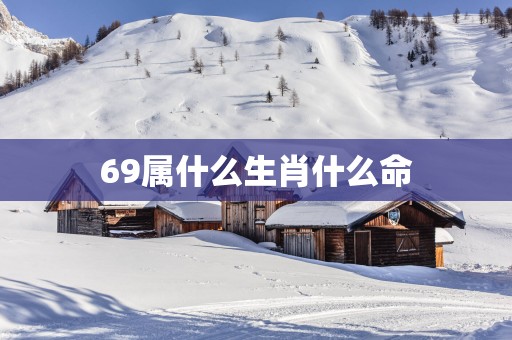 69属什么生肖什么命