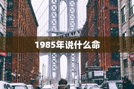 1985年说什么命