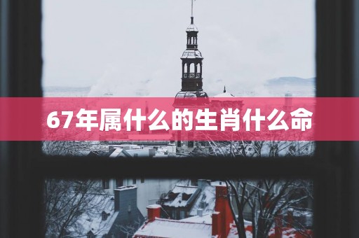 67年属什么的生肖什么命