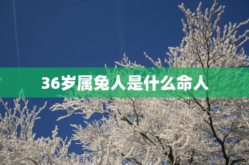 36岁属兔人是什么命人