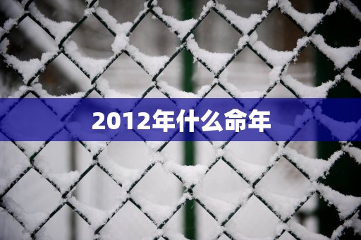 2012年什么命年