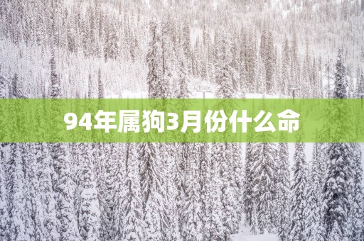 94年属狗3月份什么命