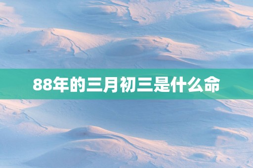 88年的三月初三是什么命