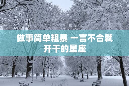 做事简单粗暴 一言不合就开干的星座