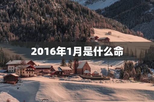 2016年1月是什么命