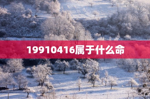 19910416属于什么命