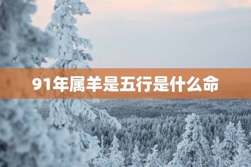 91年属羊是五行是什么命