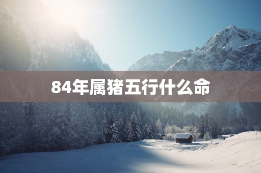 84年属猪五行什么命
