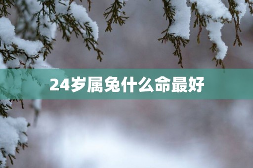 24岁属兔什么命最好