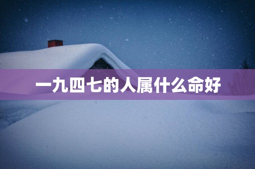 一九四七的人属什么命好